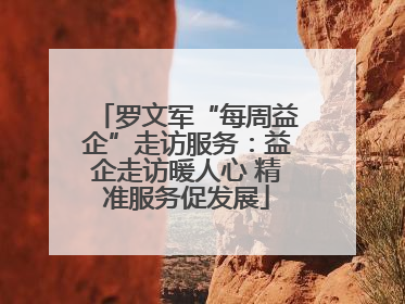 罗文军“每周益企”走访服务：益企走访暖人心 精准服务促发展