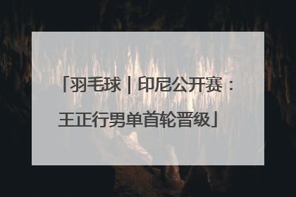 羽毛球｜印尼公开赛：王正行男单首轮晋级