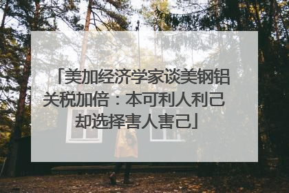 美加经济学家谈美钢铝关税加倍：本可利人利己 却选择害人害己