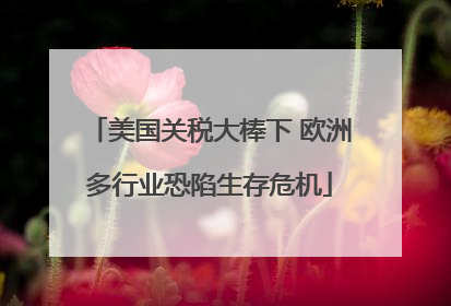 美国关税大棒下 欧洲多行业恐陷生存危机