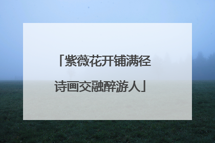 紫薇花开铺满径 诗画交融醉游人