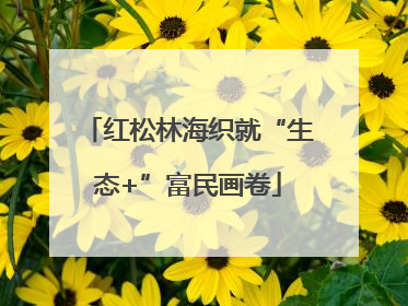 红松林海织就“生态+”富民画卷
