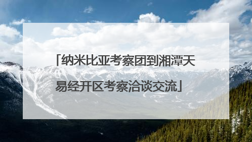纳米比亚考察团到湘潭天易经开区考察洽谈交流