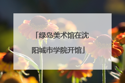 绿岛美术馆在沈阳城市学院开馆