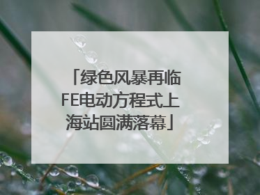 绿色风暴再临 FE电动方程式上海站圆满落幕