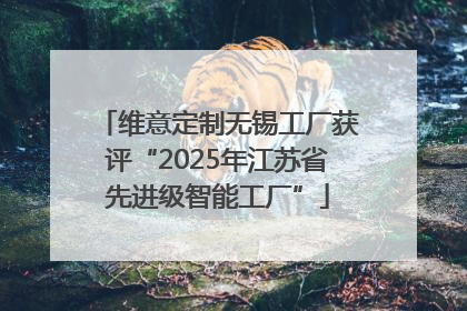 维意定制无锡工厂获评“2025年江苏省先进级智能工厂”