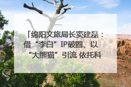绵阳文旅局长窦建磊：借“李白”IP破圈、以“大熊猫”引流 依托科技优势绽放城市文旅魅力｜文旅局长说