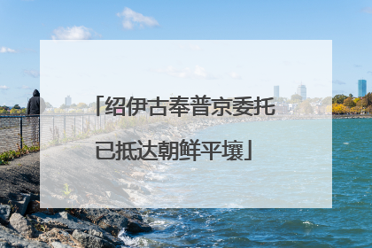 绍伊古奉普京委托已抵达朝鲜平壤
