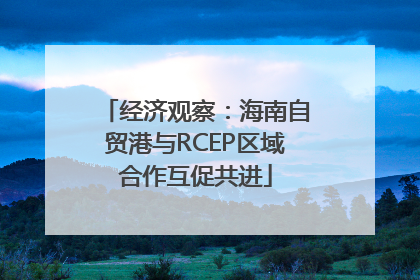 经济观察：海南自贸港与RCEP区域合作互促共进