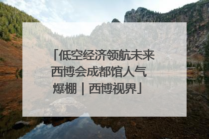 低空经济领航未来 西博会成都馆人气爆棚｜西博视界