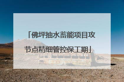 佛坪抽水蓄能项目攻节点精细管控保工期