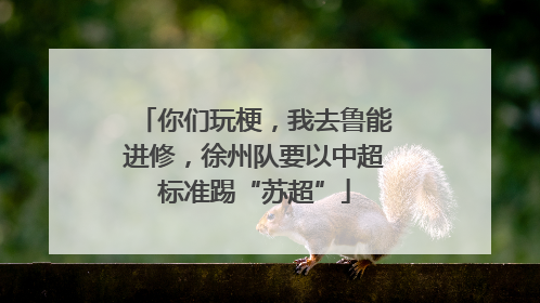 你们玩梗，我去鲁能进修，徐州队要以中超标准踢“苏超”