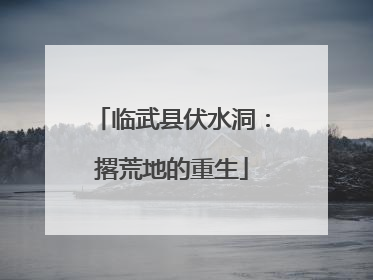 临武县伏水洞：撂荒地的重生