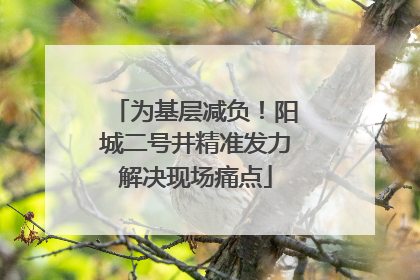 为基层减负！阳城二号井精准发力解决现场痛点