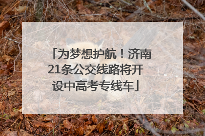 为梦想护航！济南21条公交线路将开设中高考专线车