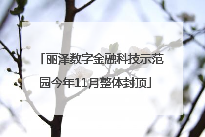 丽泽数字金融科技示范园今年11月整体封顶