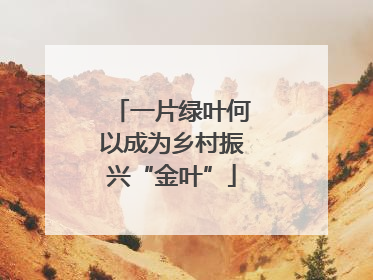 一片绿叶何以成为乡村振兴“金叶”