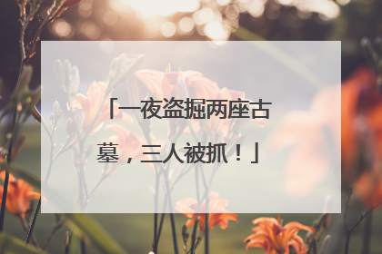 一夜盗掘两座古墓，三人被抓！