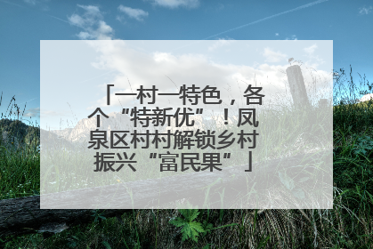 一村一特色，各个“特新优”！凤泉区村村解锁乡村振兴“富民果”