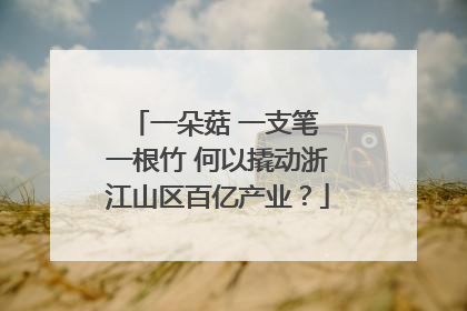 一朵菇 一支笔 一根竹 何以撬动浙江山区百亿产业？