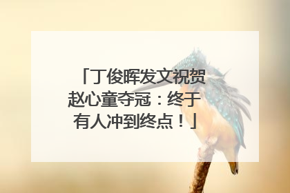 丁俊晖发文祝贺赵心童夺冠：终于有人冲到终点！