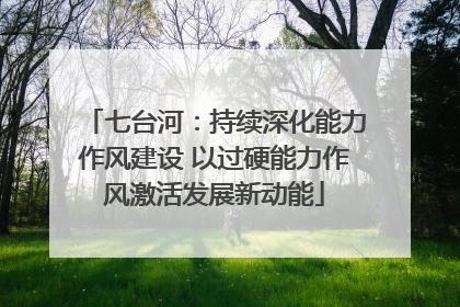 七台河：持续深化能力作风建设 以过硬能力作风激活发展新动能