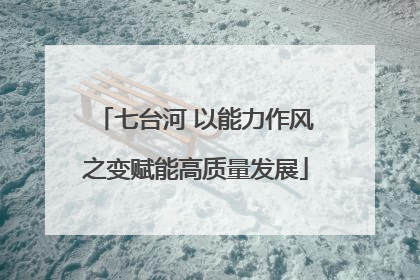 七台河 以能力作风之变赋能高质量发展