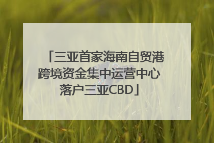 三亚首家海南自贸港跨境资金集中运营中心落户三亚CBD