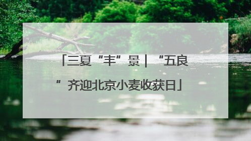 三夏“丰”景｜“五良”齐迎北京小麦收获日