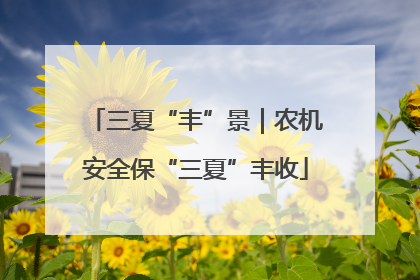 三夏“丰”景｜农机安全保“三夏”丰收