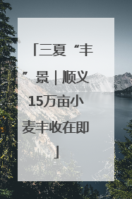 三夏“丰”景｜顺义15万亩小麦丰收在即