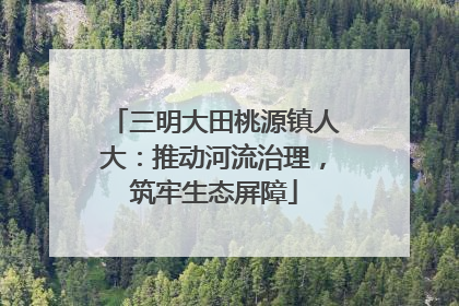三明大田桃源镇人大：推动河流治理，筑牢生态屏障