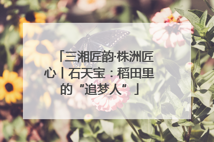 三湘匠韵·株洲匠心丨石天宝：稻田里的“追梦人”