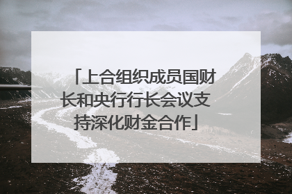 上合组织成员国财长和央行行长会议支持深化财金合作