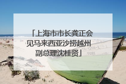 上海市市长龚正会见马来西亚沙捞越州副总理沈桂贤