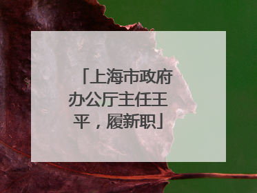 上海市政府办公厅主任王平，履新职