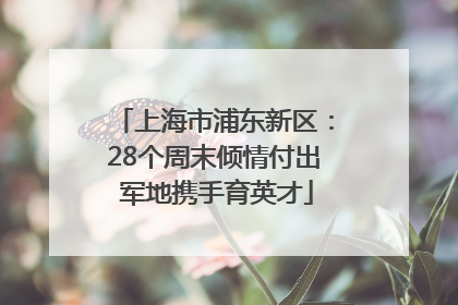 上海市浦东新区：28个周末倾情付出 军地携手育英才