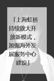 上海虹桥持续放大开放新模式，加强海外发展服务中心建设