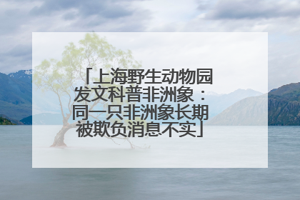 上海野生动物园发文科普非洲象：同一只非洲象长期被欺负消息不实