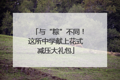 与“粽”不同！这所中学献上花式减压大礼包