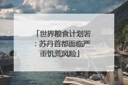 世界粮食计划署：苏丹首都面临严重饥荒风险