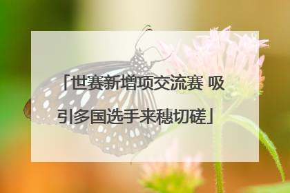 世赛新增项交流赛 吸引多国选手来穗切磋