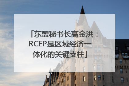 东盟秘书长高金洪：RCEP是区域经济一体化的关键支柱