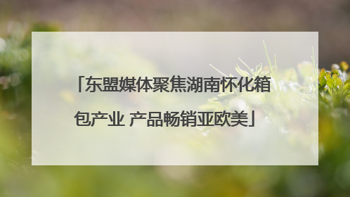 东盟媒体聚焦湖南怀化箱包产业 产品畅销亚欧美