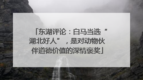 东湖评论：白马当选“湖北好人”，是对动物伙伴道德价值的深情褒奖