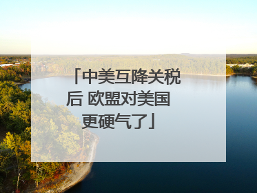 中美互降关税后 欧盟对美国更硬气了