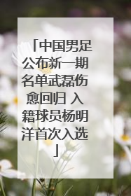 中国男足公布新一期名单武磊伤愈回归 入籍球员杨明洋首次入选