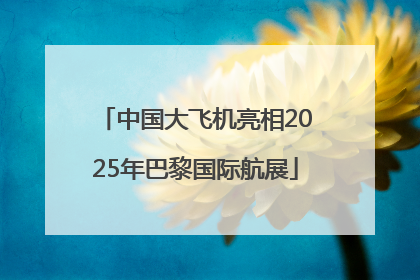 中国大飞机亮相2025年巴黎国际航展
