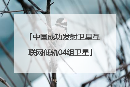 中国成功发射卫星互联网低轨04组卫星