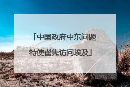 中国政府中东问题特使翟隽访问埃及